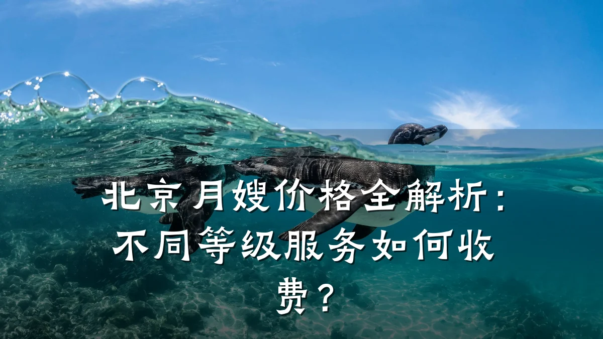 北京月嫂价格全解析：不同等级服务如何收费？