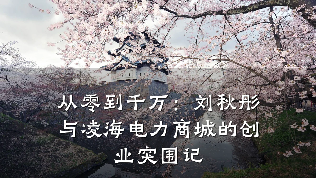 从零到千万:刘秋彤与凌海电力商城的创业突围记
