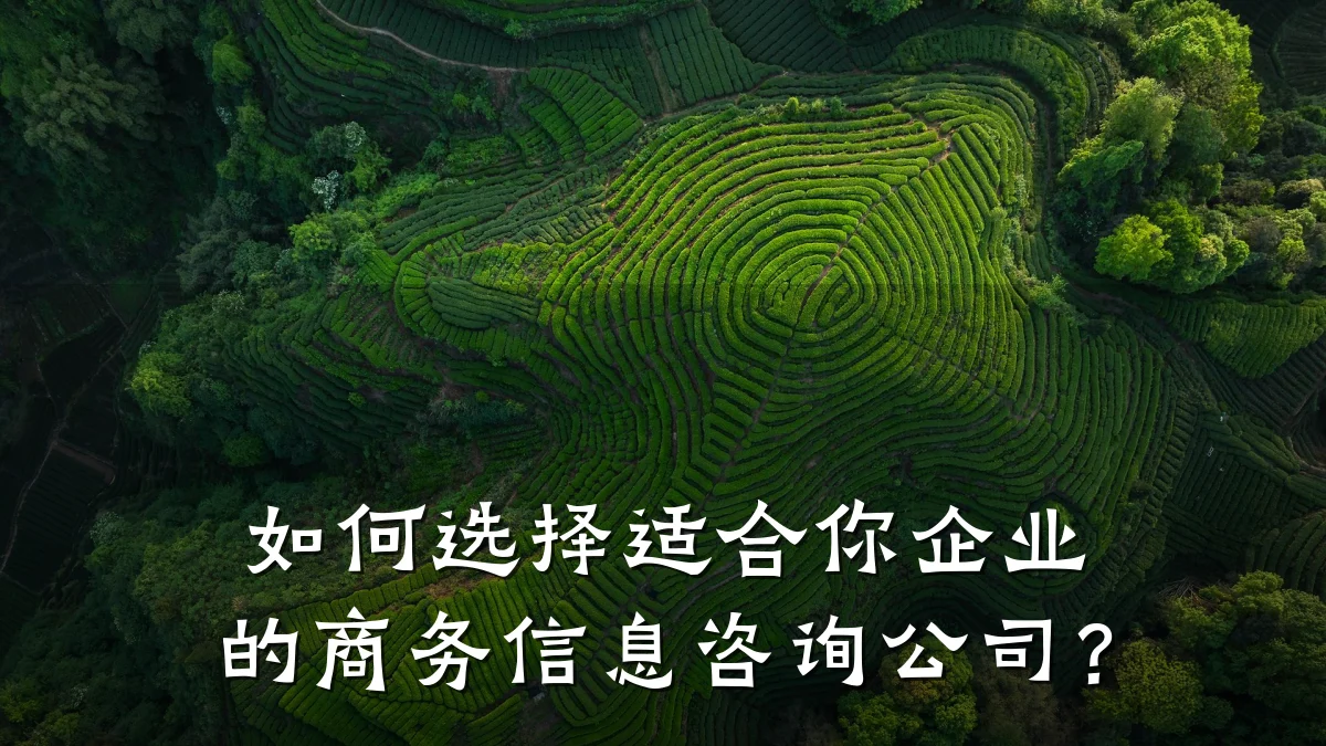如何选择适合你企业的商务信息咨询公司?