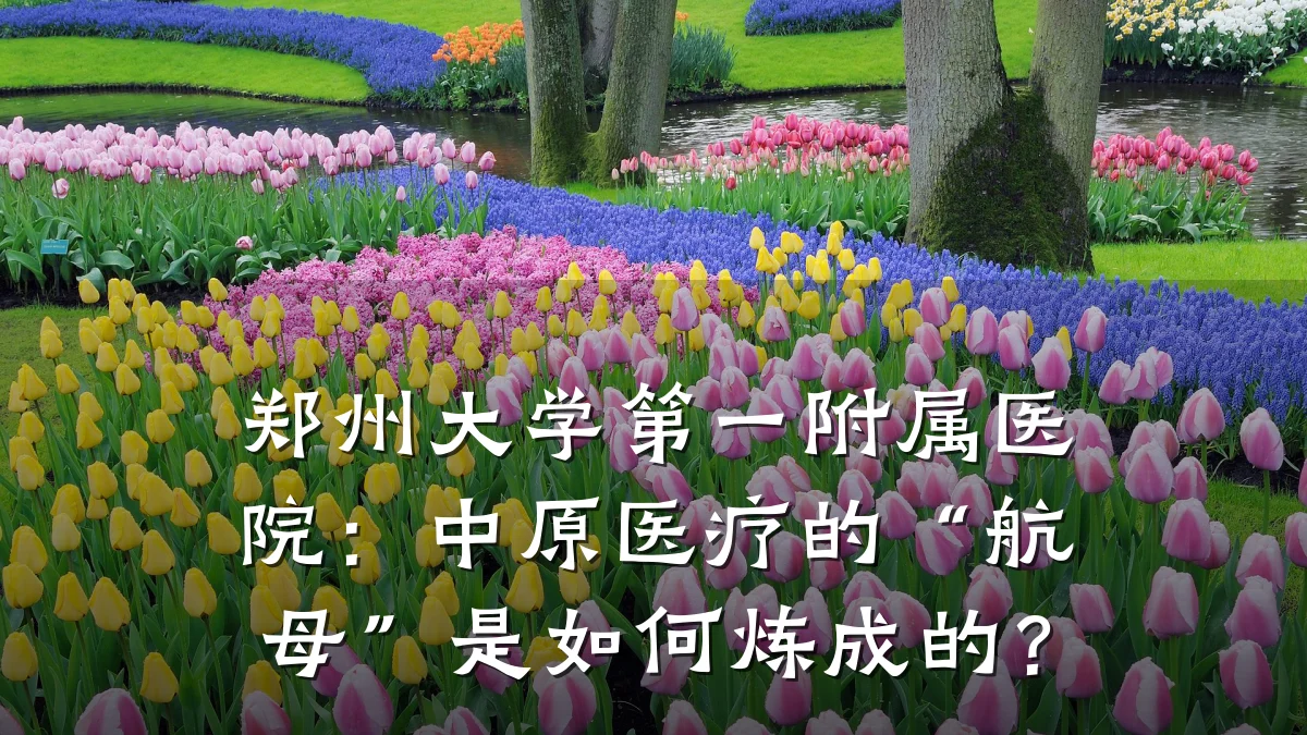 郑州大学第一附属医院:中原医疗的“航母”是如何炼成的?