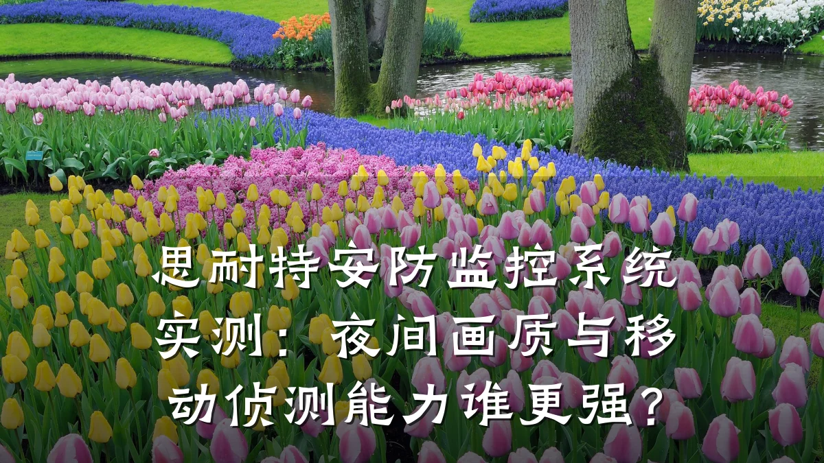 思耐特安防监控系统实测:夜间画质与移动侦测能力谁更强?