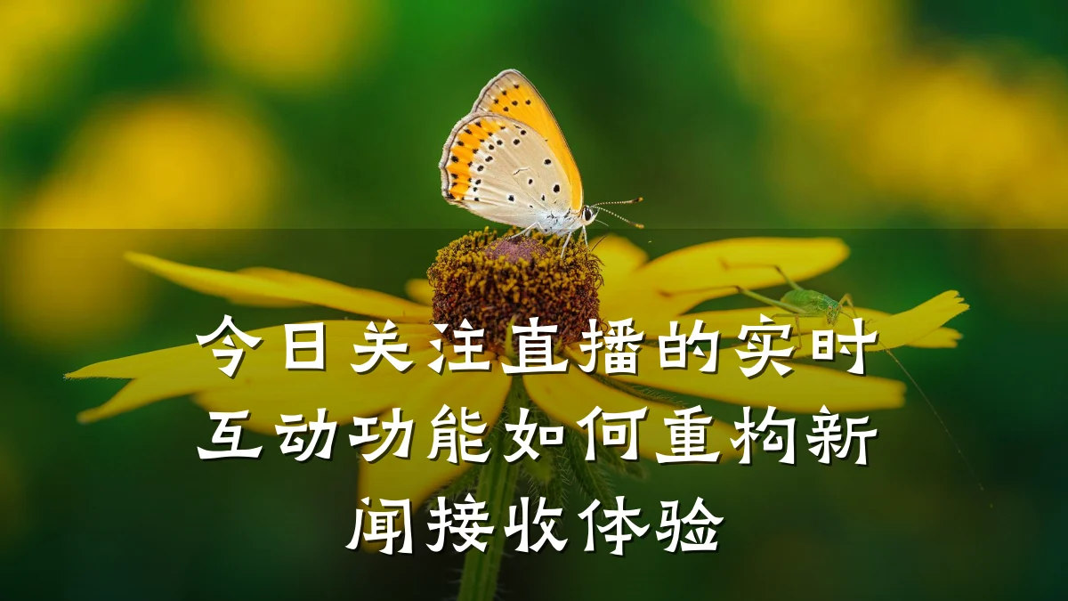 今日关注直播的实时互动功能如何重构新闻接收体验