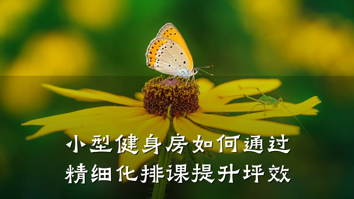 小型健身房如何通过精细化排课提升坪效