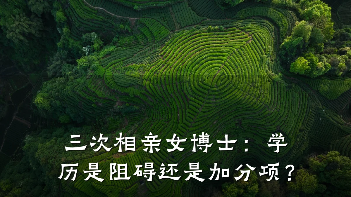 三次相亲女博士:学历是阻碍还是加分项?
