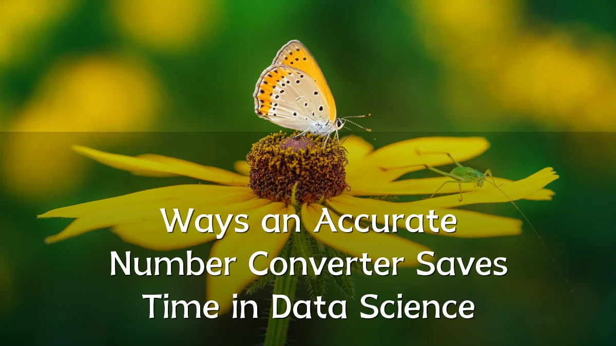 Ways an Accurate Number Converter Saves Time in Data Science