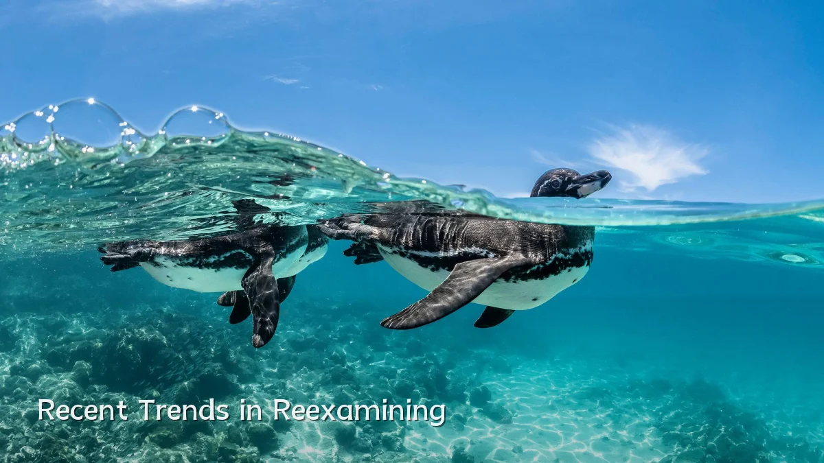 Recent Trends in Reexamining