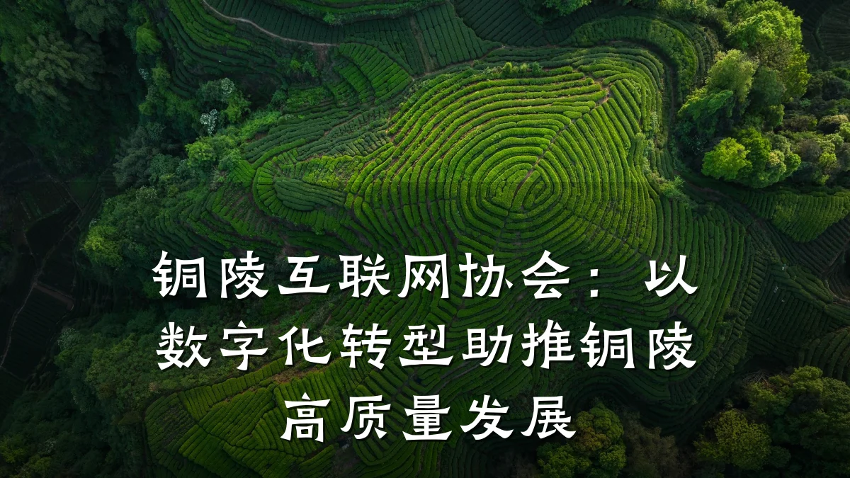 铜陵互联网协会:以数字化转型助推铜陵高质量发展