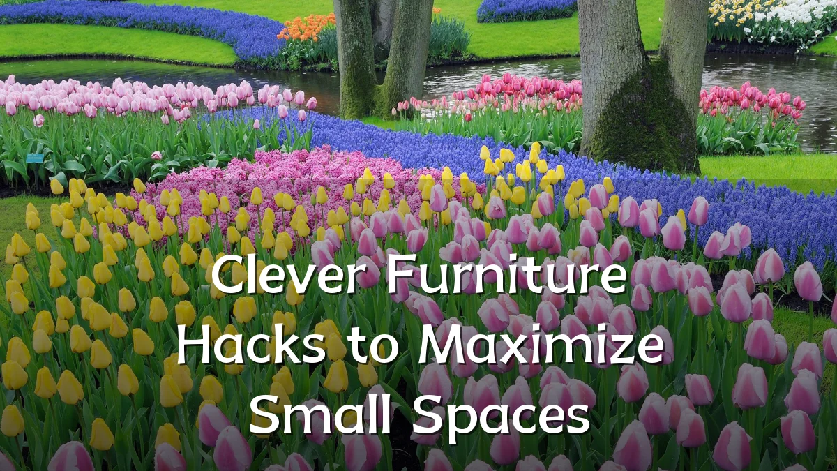 Clever Furniture Hacks to Maximize Small Spaces