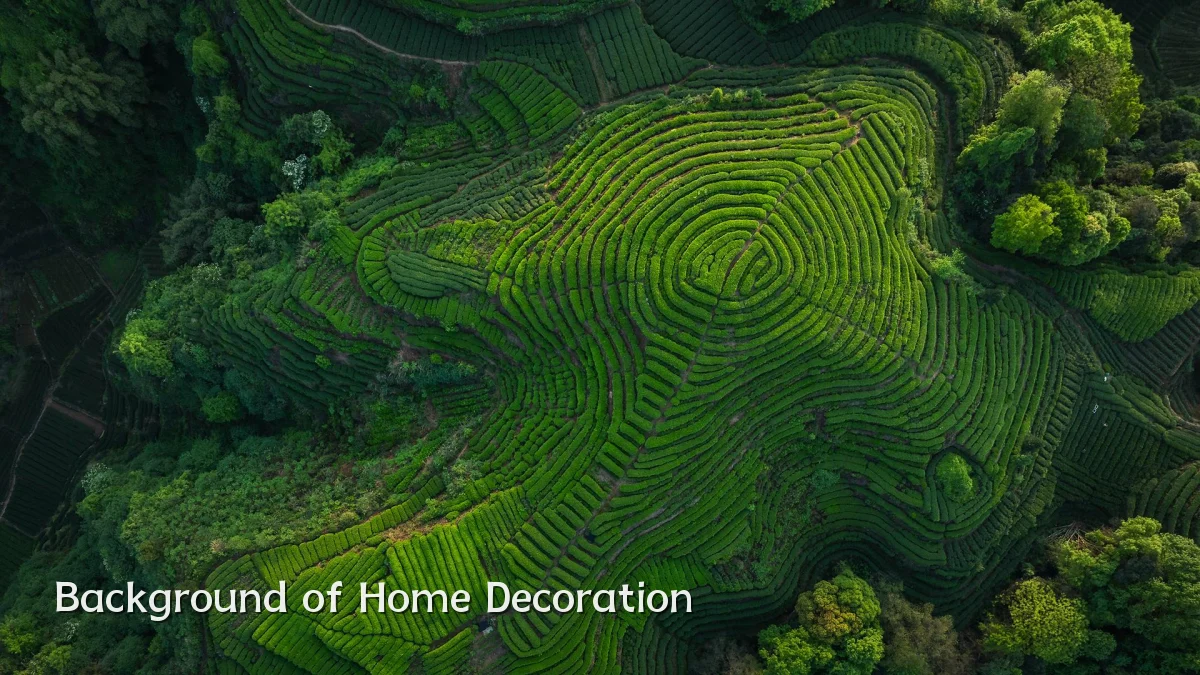 Background of Home Decoration