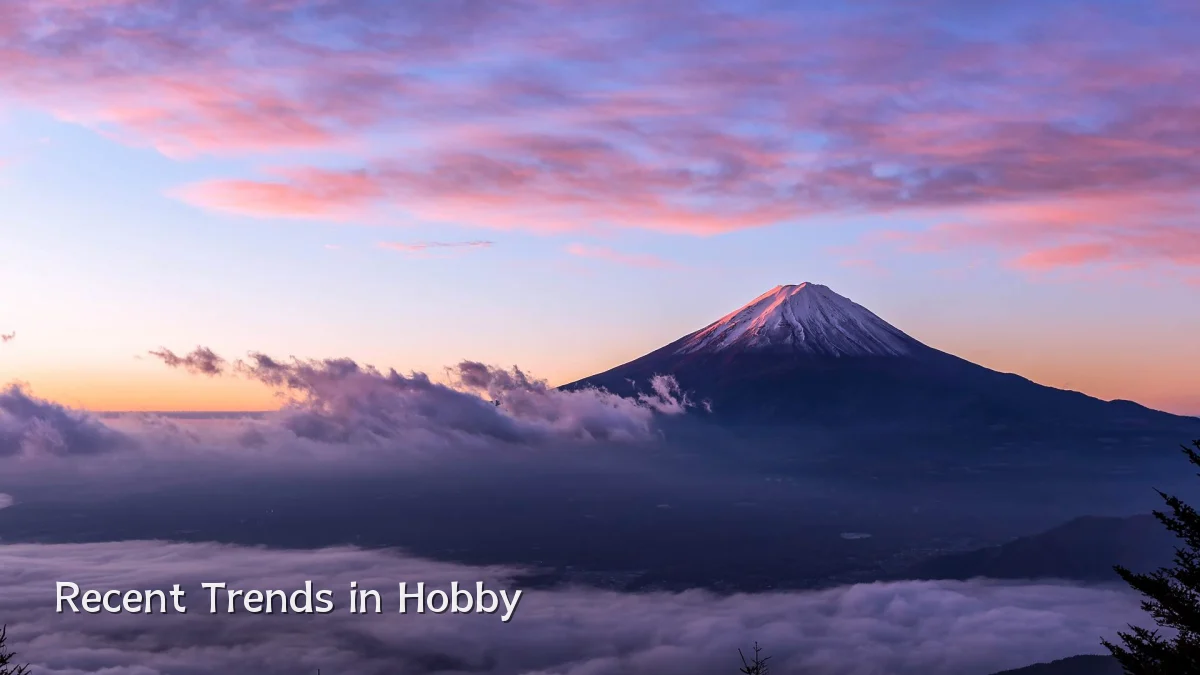 Recent Trends in Hobby
