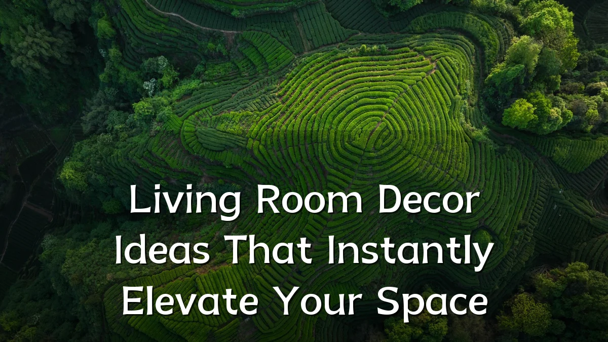 Living Room Decor Ideas That Instantly Elevate Your Space
