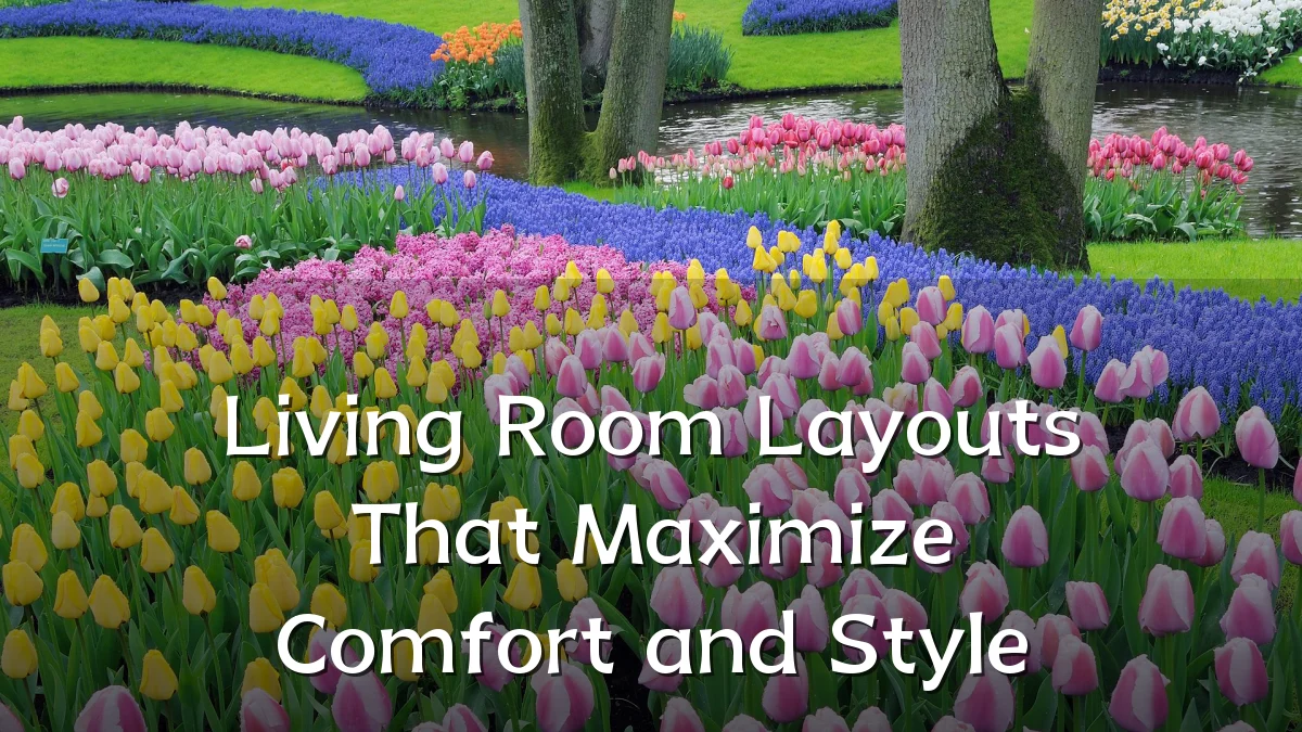 Living Room Layouts That Maximize Comfort and Style