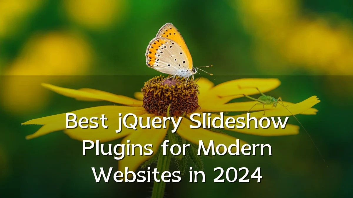 Best jQuery Slideshow Plugins for Modern Websites in 2024