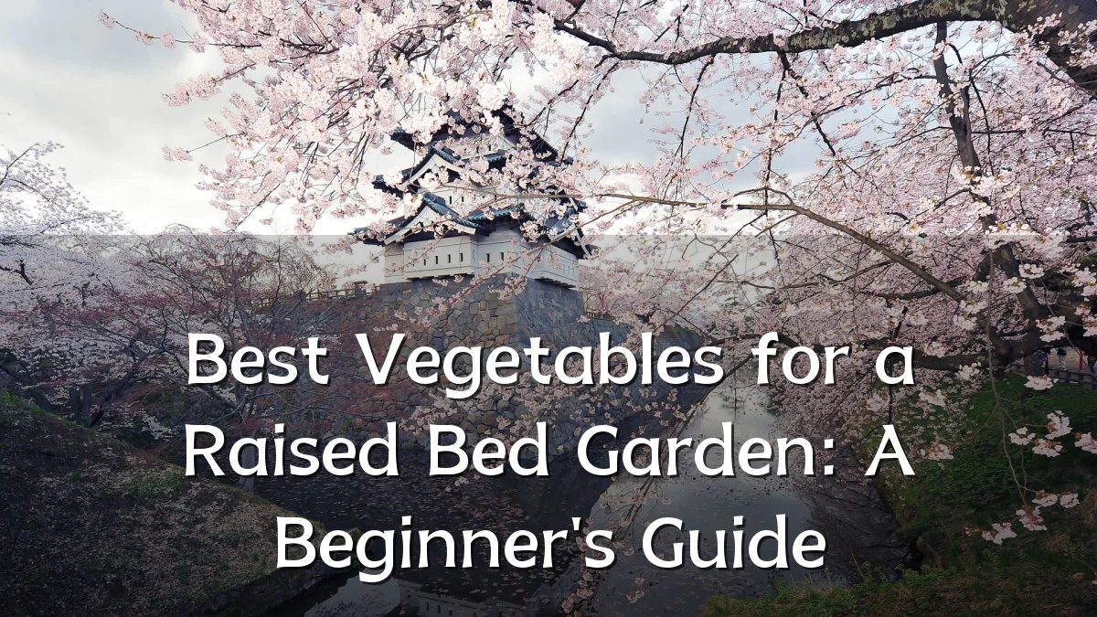 Best Vegetables for a Raised Bed Garden: A Beginner's Guide