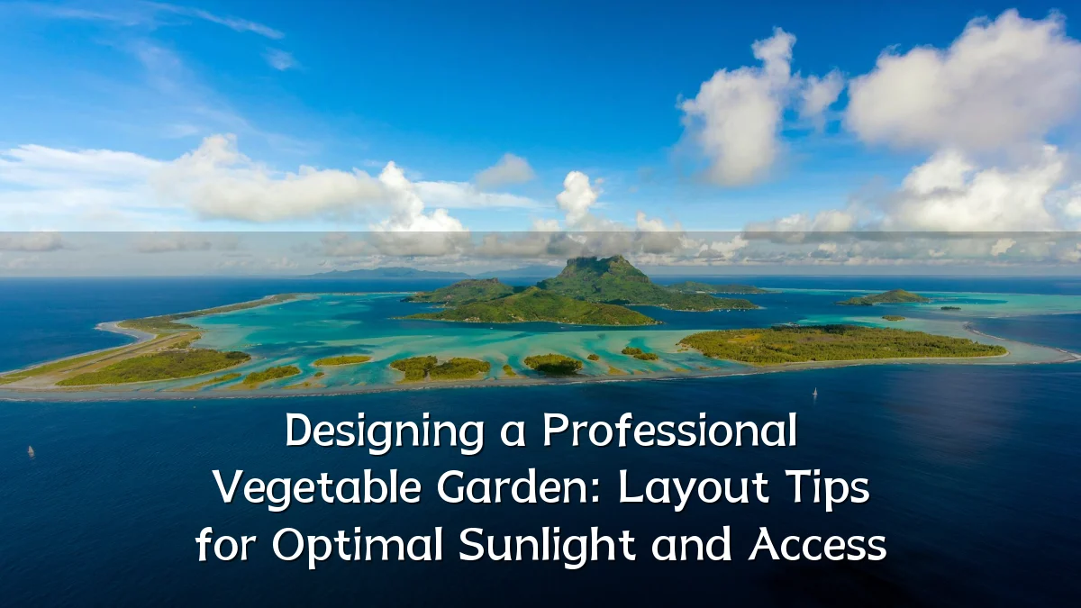 Designing a Professional Vegetable Garden: Layout Tips for Optimal Sunlight and Access
