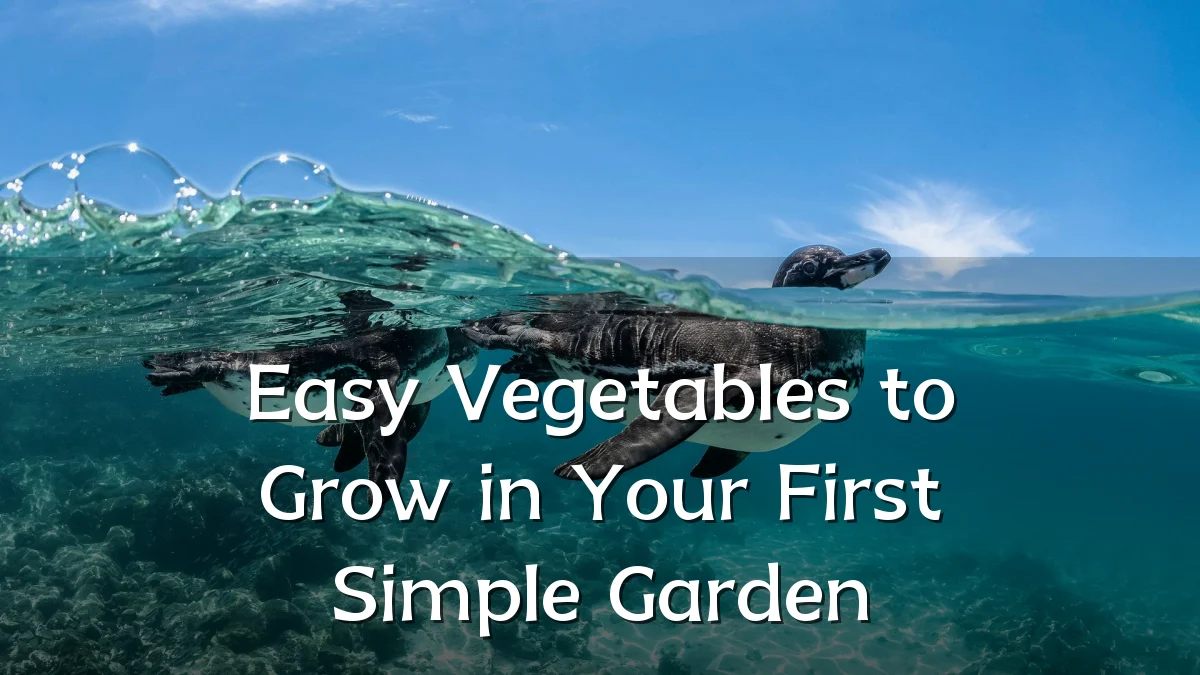 Easy Vegetables to Grow in Your First Simple Garden