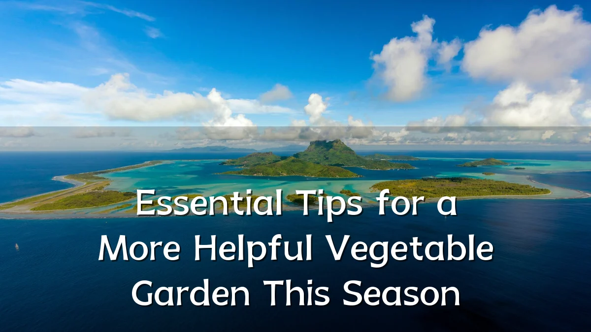 Essential Tips for a More Helpful Vegetable Garden This Season