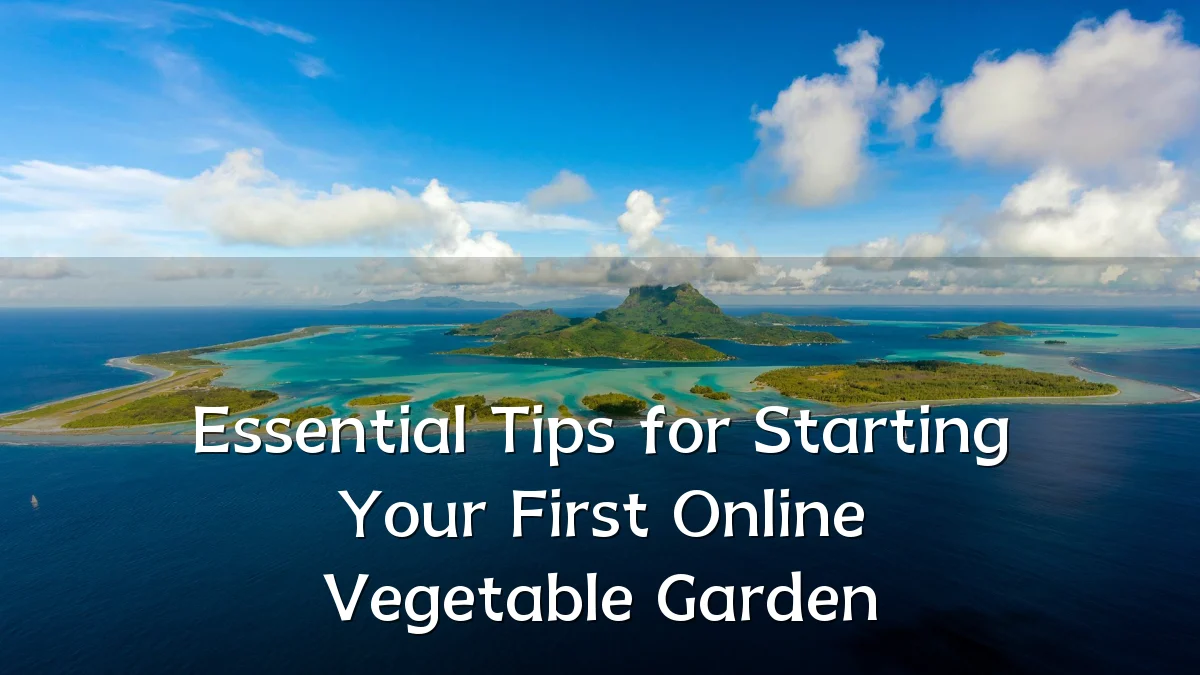 Essential Tips for Starting Your First Online Vegetable Garden