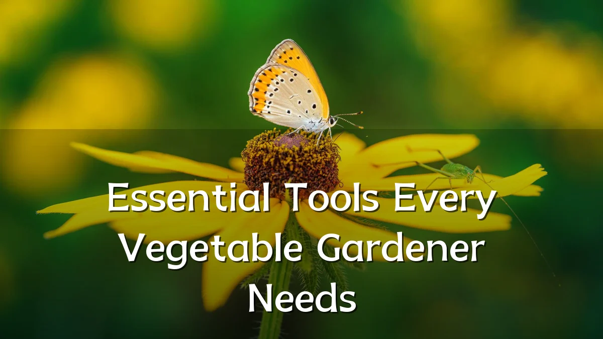 Essential Tools Every Vegetable Gardener Needs