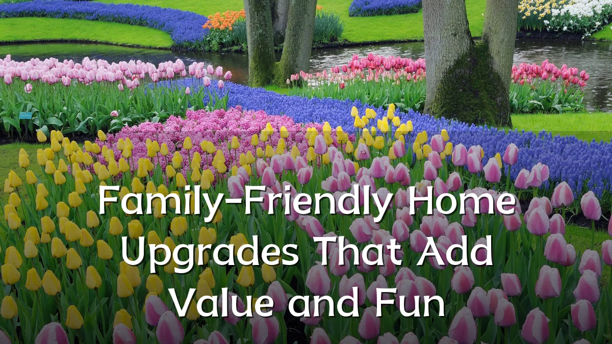 Family-Friendly Home Upgrades That Add Value and Fun