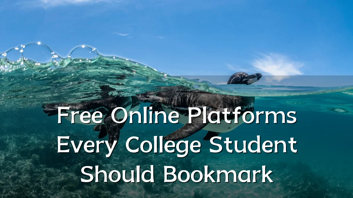 Free Online Platforms Every College Student Should Bookmark