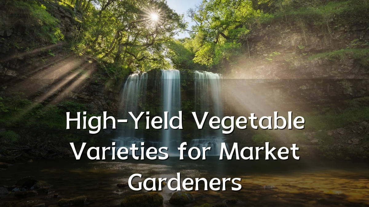 High-Yield Vegetable Varieties for Market Gardeners