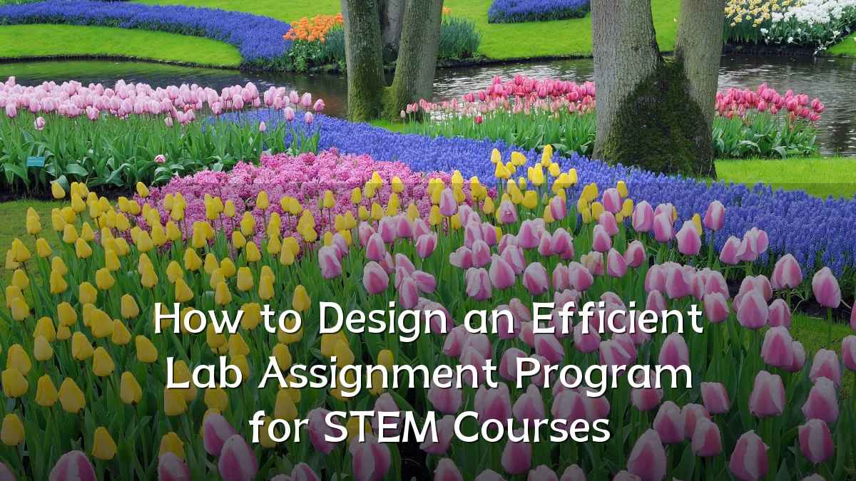 How to Design an Efficient Lab Assignment Program for STEM Courses