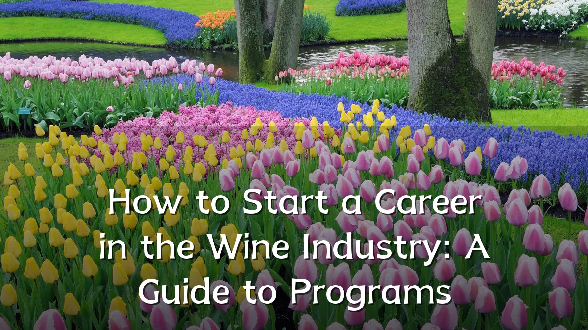 How to Start a Career in the Wine Industry: A Guide to Programs