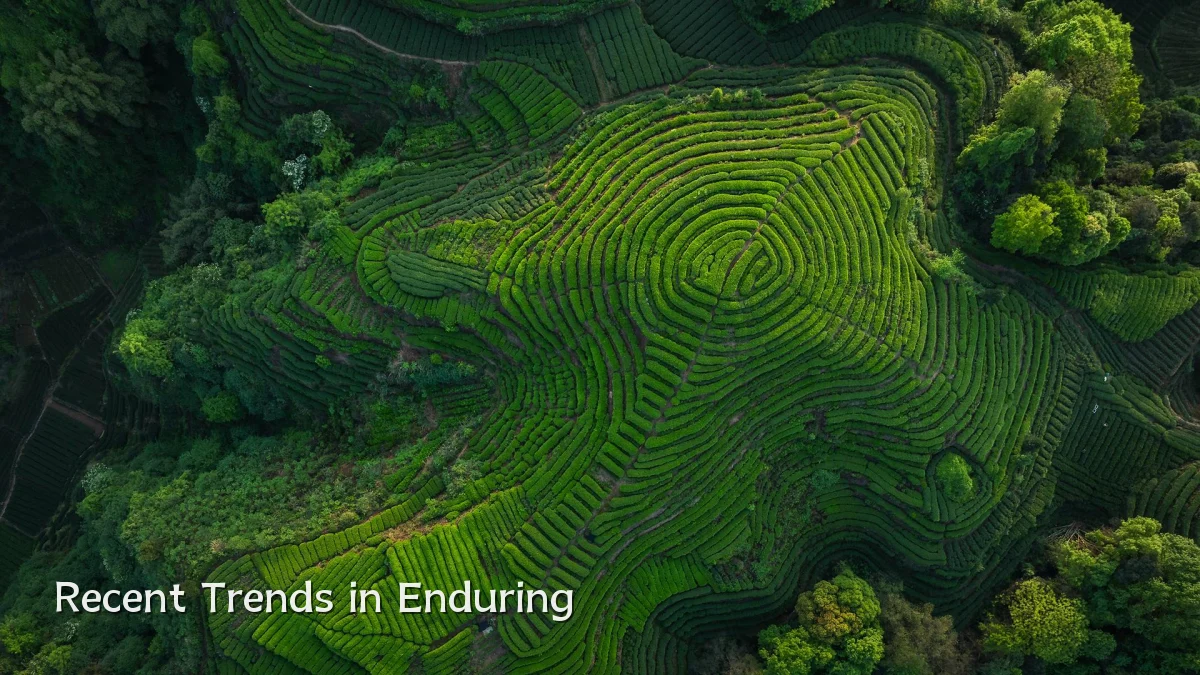 Recent Trends in Enduring