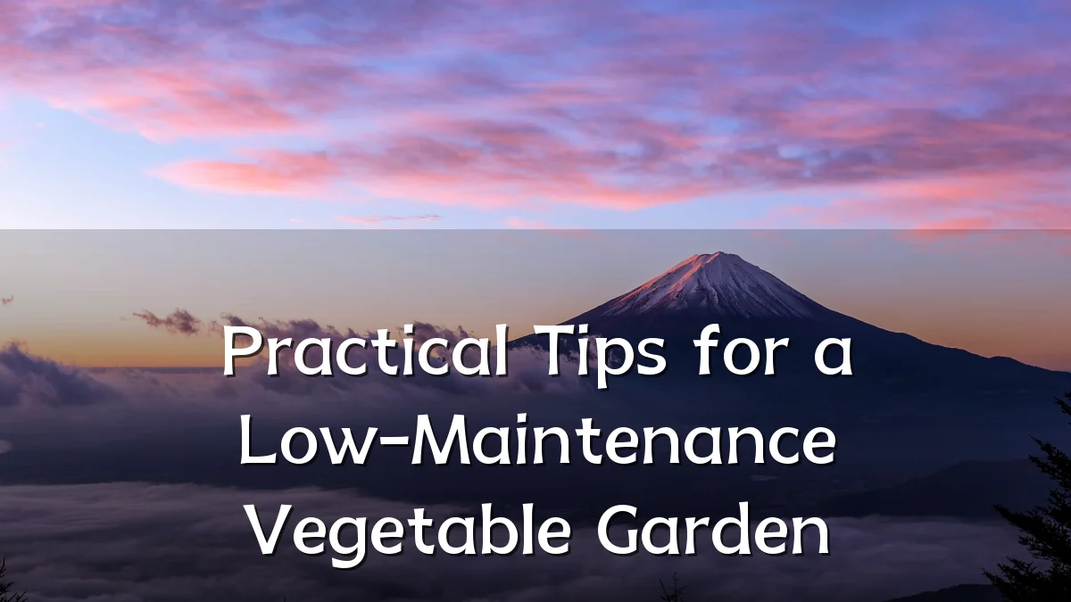 Practical Tips for a Low-Maintenance Vegetable Garden