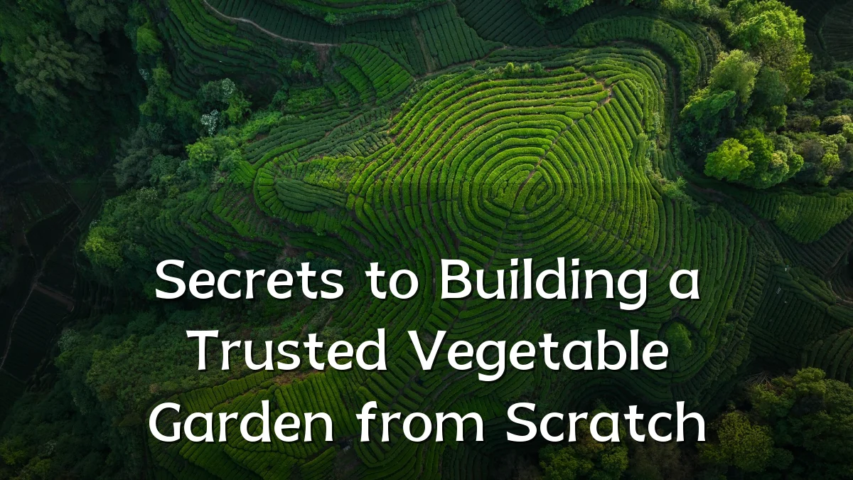 Secrets to Building a Trusted Vegetable Garden from Scratch