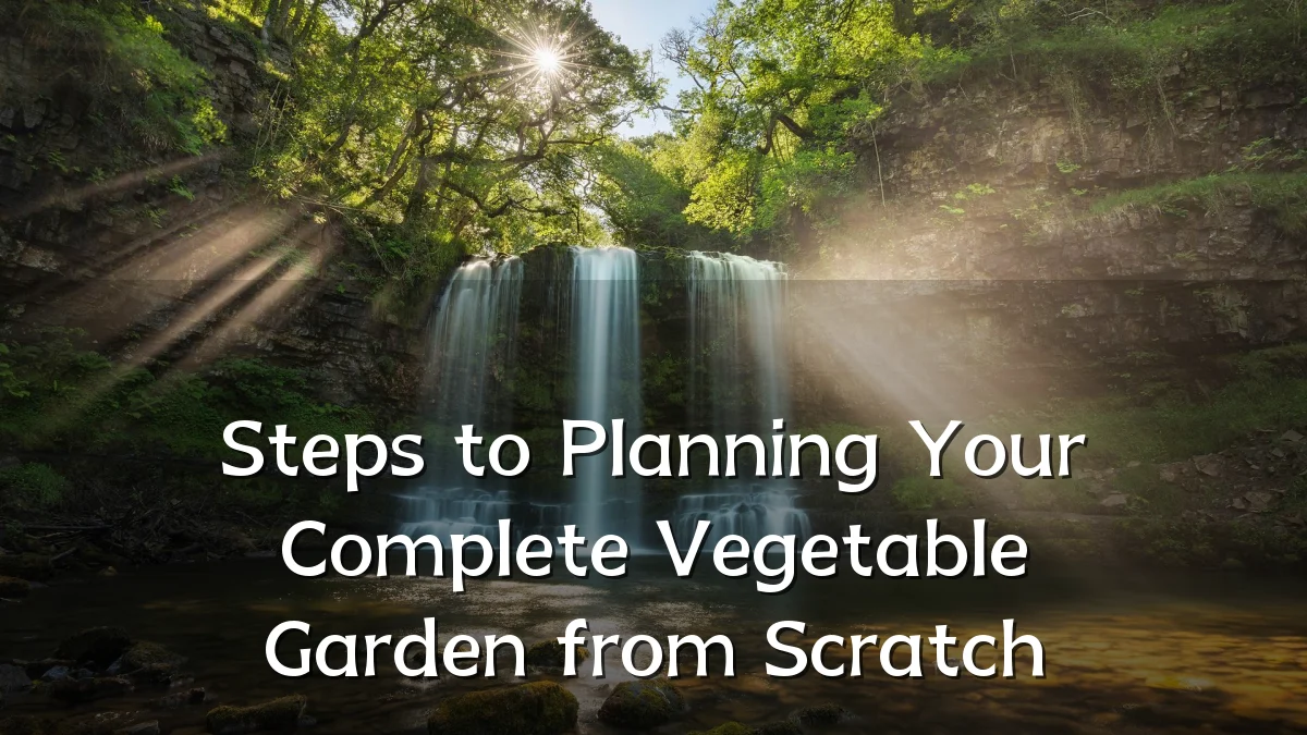 Steps to Planning Your Complete Vegetable Garden from Scratch