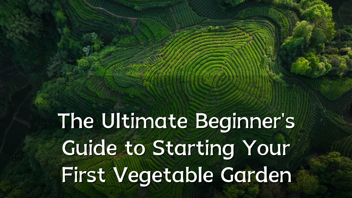 The Ultimate Beginner's Guide to Starting Your First Vegetable Garden