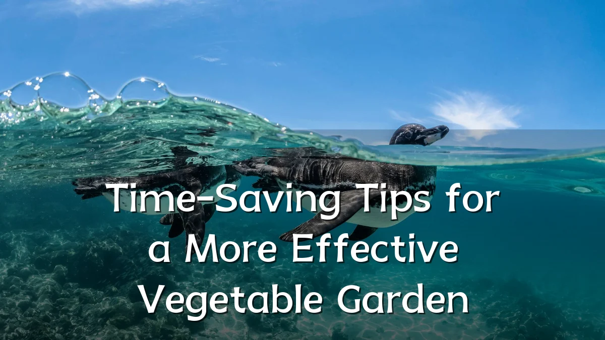 Time-Saving Tips for a More Effective Vegetable Garden