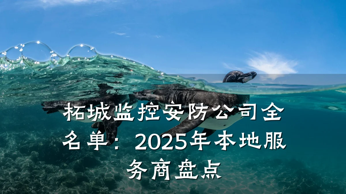 柘城监控安防公司全名单:2025年本地服务商盘点