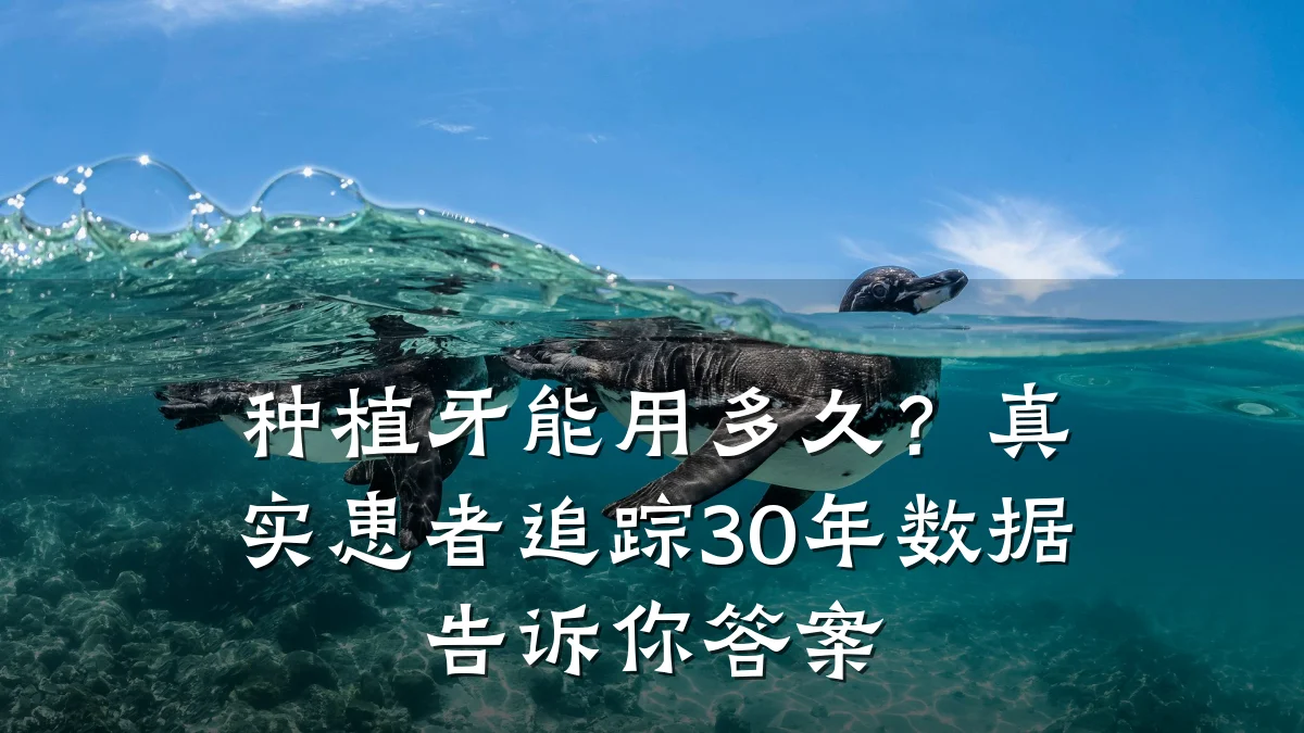 种植牙能用多久?真实患者追踪30年数据告诉你答案