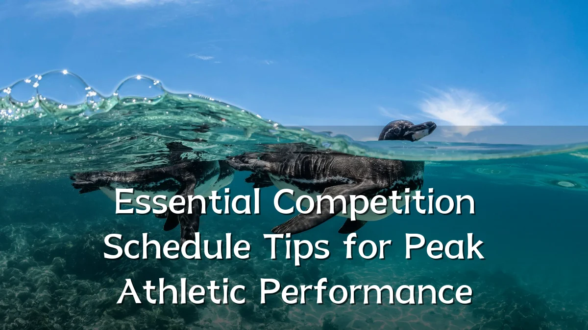 Essential Competition Schedule Tips for Peak Athletic Performance