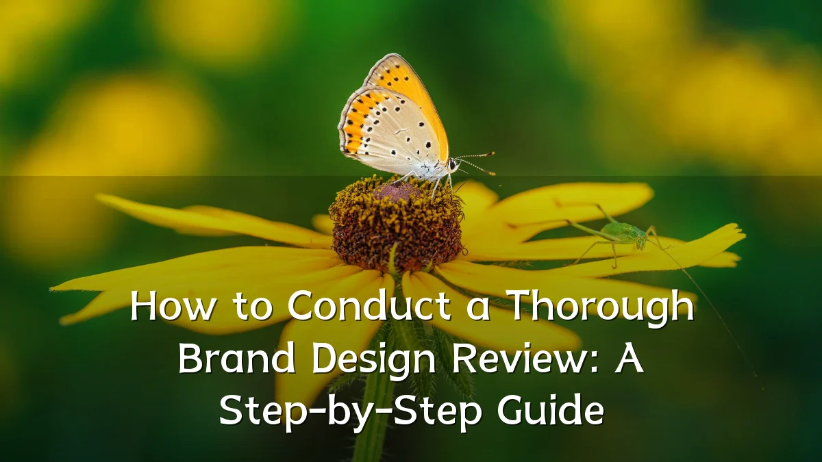 How to Conduct a Thorough Brand Design Review: A Step-by-Step Guide