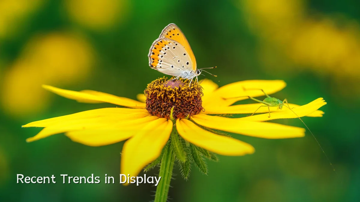 Recent Trends in Display