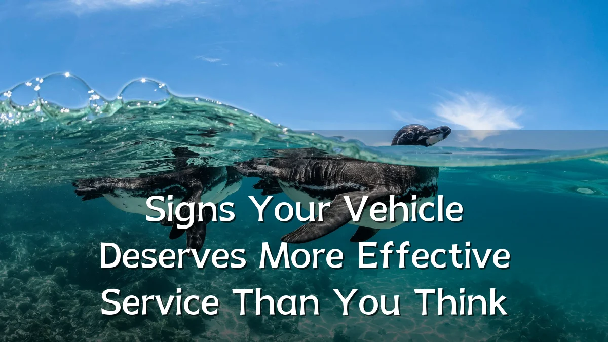Signs Your Vehicle Deserves More Effective Service Than You Think