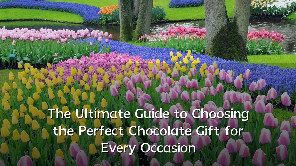 The Ultimate Guide to Choosing the Perfect Chocolate Gift for Every Occasion
