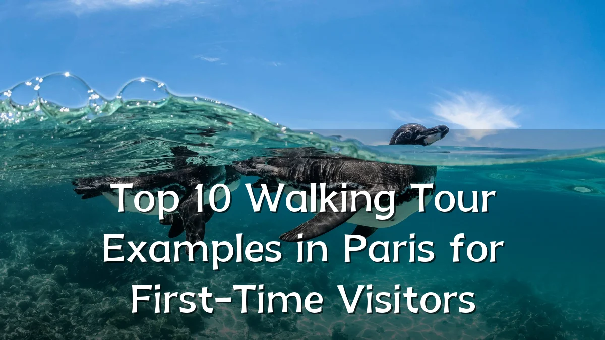 Top 10 Walking Tour Examples in Paris for First-Time Visitors