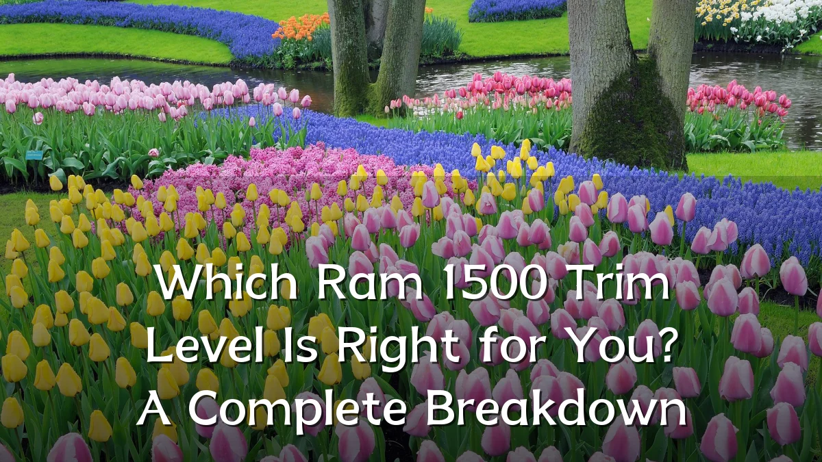 Which Ram 1500 Trim Level Is Right for You? A Complete Breakdown