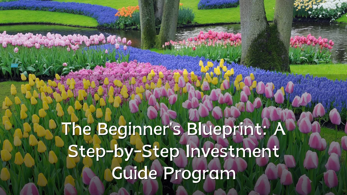 The Beginner's Blueprint: A Step-by-Step Investment Guide Program