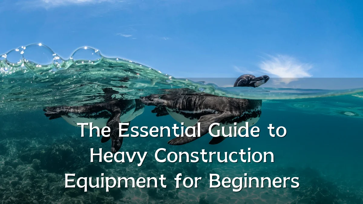 The Essential Guide to Heavy Construction Equipment for Beginners