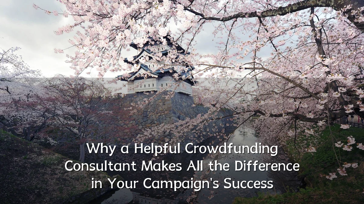 Why a Helpful Crowdfunding Consultant Makes All the Difference in Your Campaign's Success
