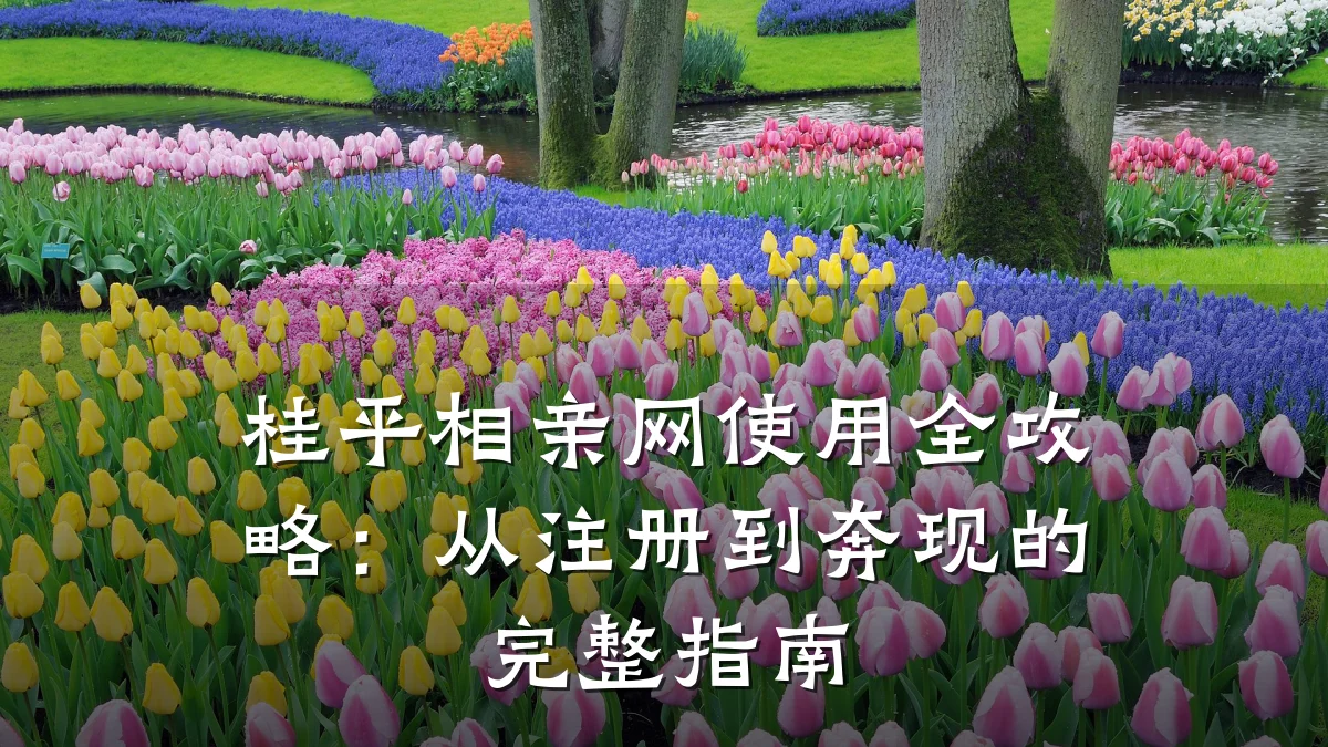 桂平相亲网使用全攻略:从注册到奔现的完整指南