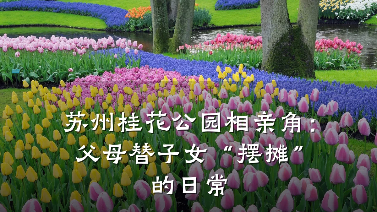 苏州桂花公园相亲角:父母替子女“摆摊”的日常
