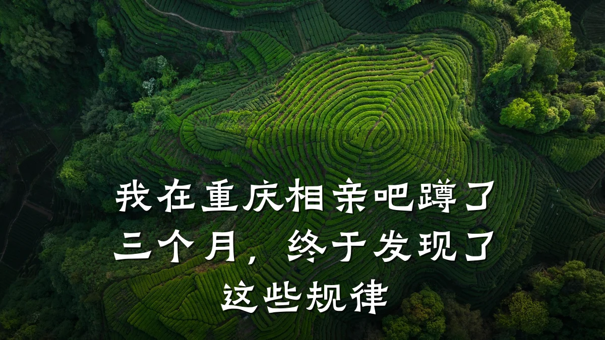 我在重庆相亲吧蹲了三个月,终于发现了这些规律