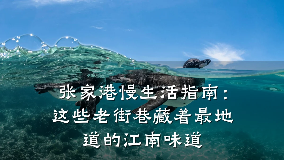 张家港慢生活指南：这些老街巷藏着最地道的江南味道